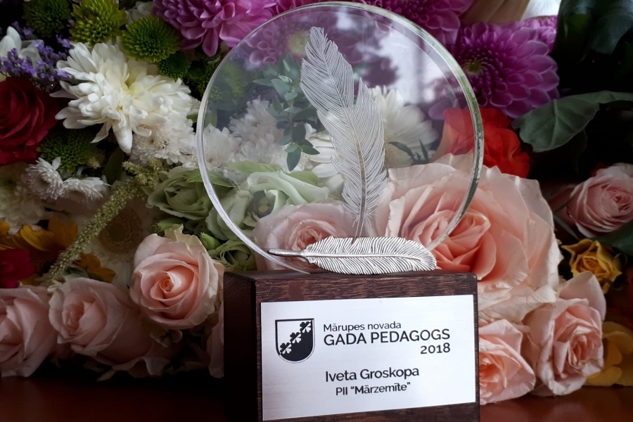 Gada pedagogs 2018